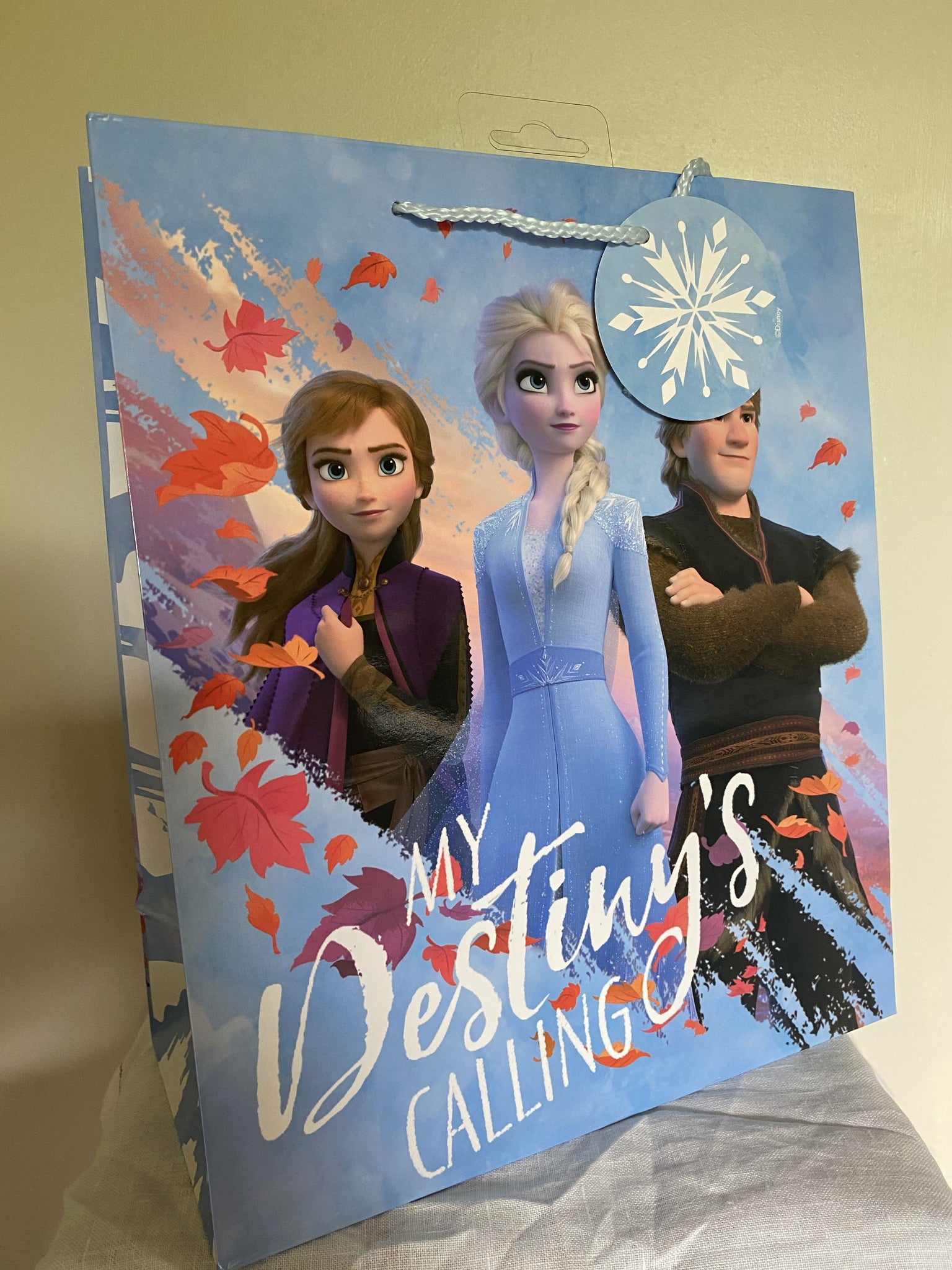 Disney Frozen Gift Bag