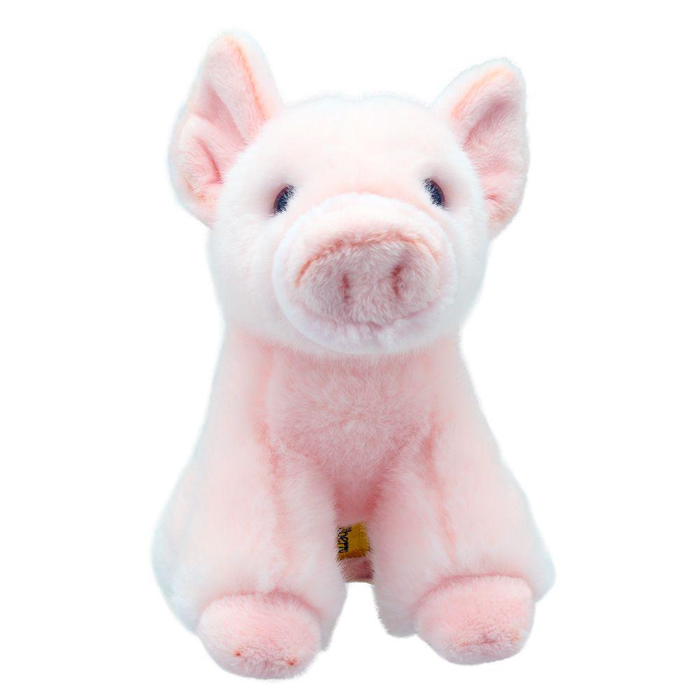 Mini Pig