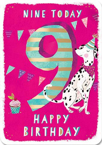 Nine Today Dalmation